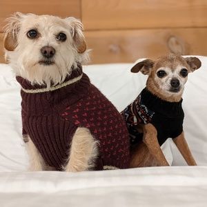 Meet your Posher, Yessenia